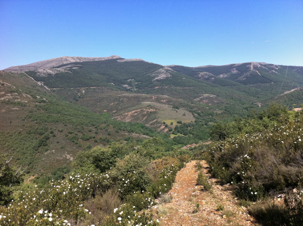 Camino de ascenso